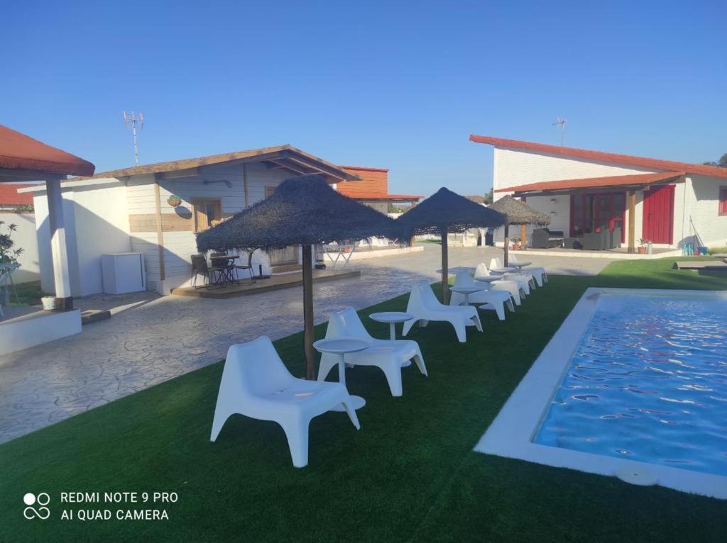 La Pinza Bl Am Appartement