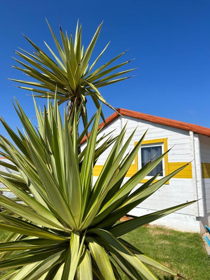 La Pinza Bl Am Apartment *